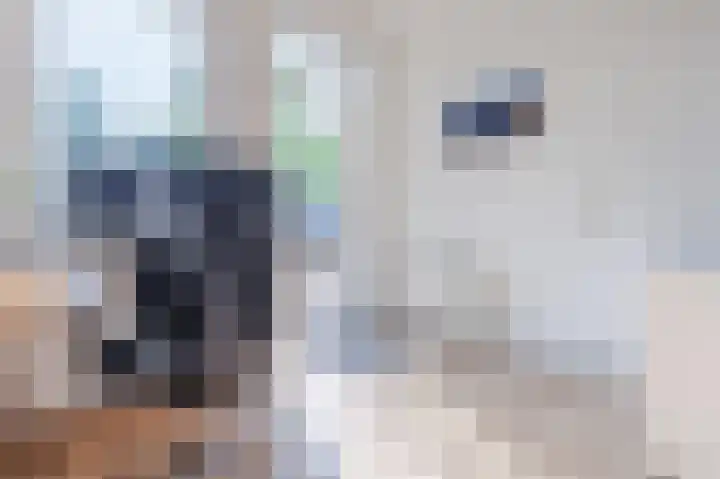 Da Costalaan 100 Rijswijk thumbnail 16
