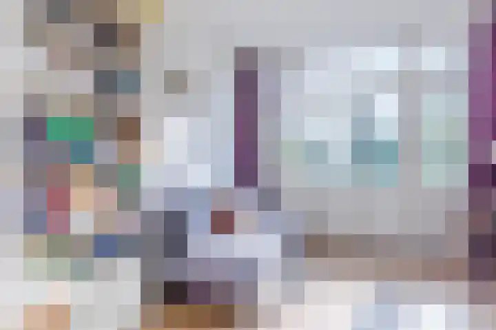 Da Costalaan 100 Rijswijk thumbnail 19