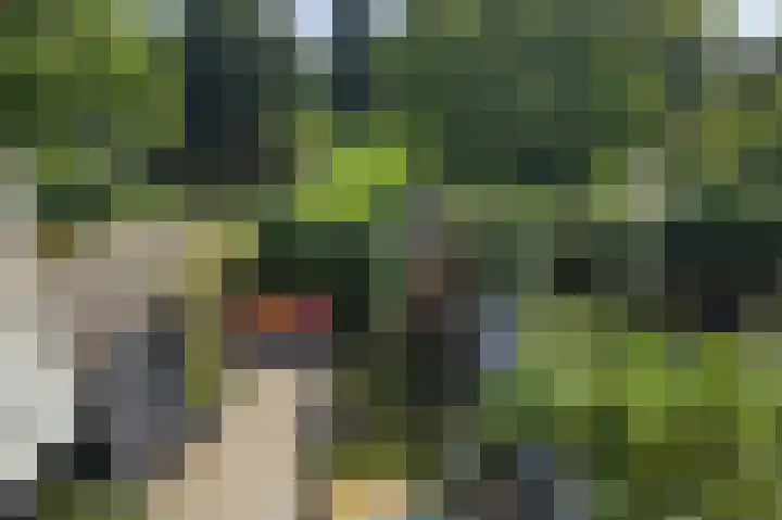 Da Costalaan 100 Rijswijk thumbnail 33