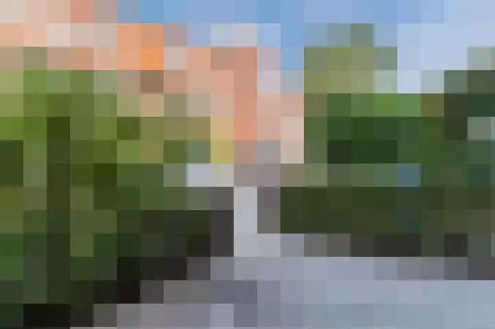 Da Costalaan 100 Rijswijk thumbnail 6