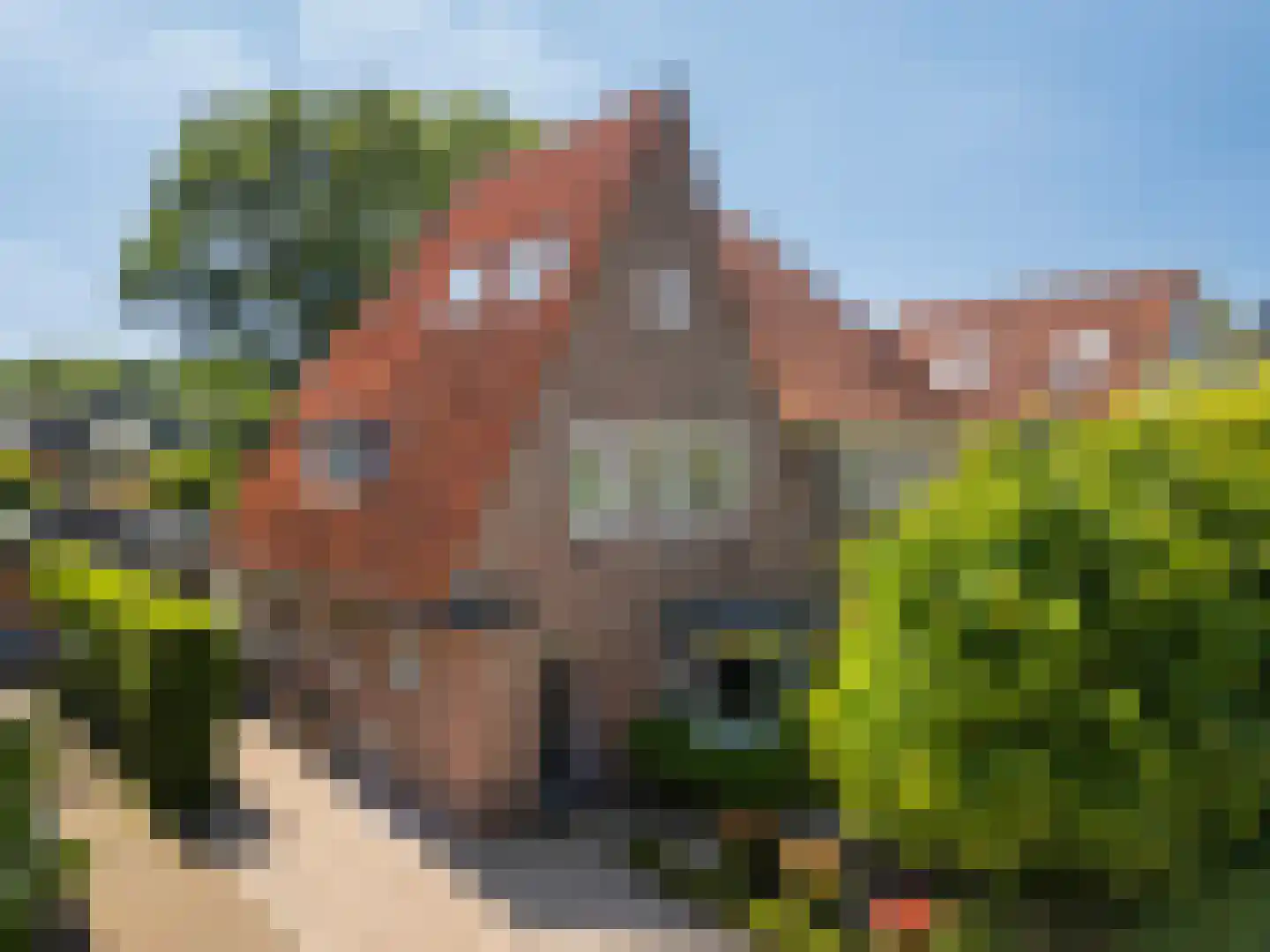 Da Costalaan 11 Soest