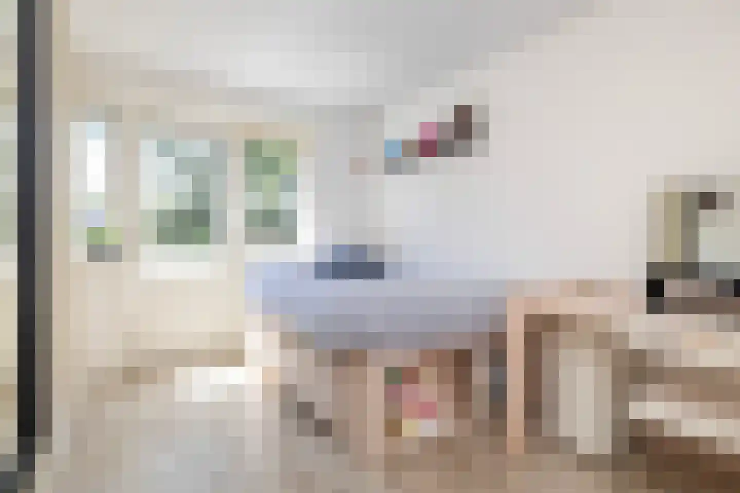 Da Costalaan 11 Soest thumbnail 34