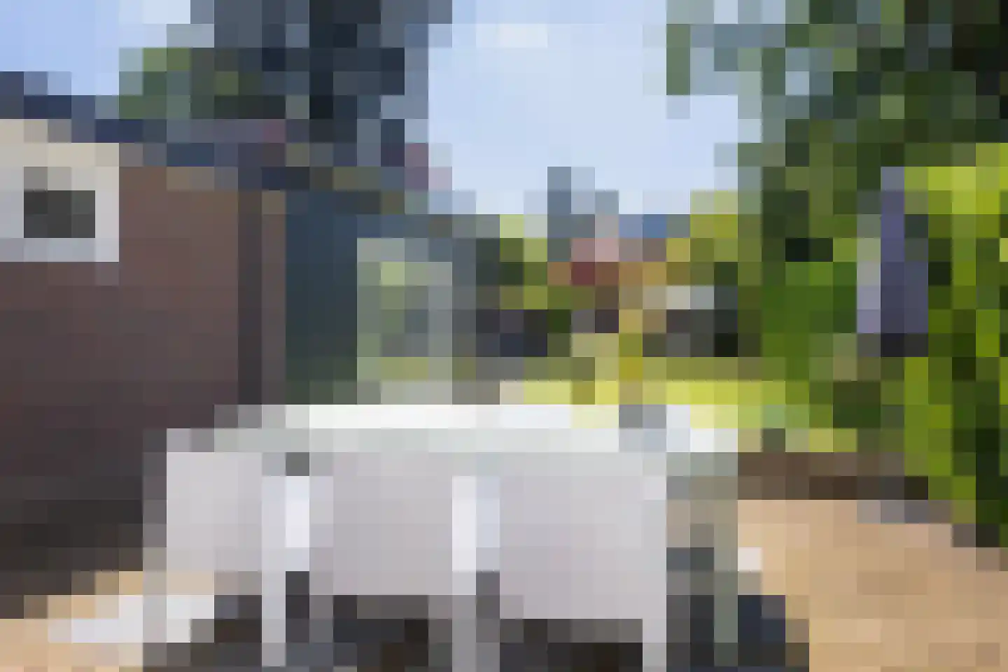 Da Costalaan 11 Soest thumbnail 44