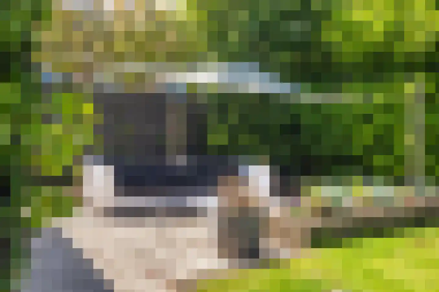 Da Costalaan 11 Soest thumbnail 49