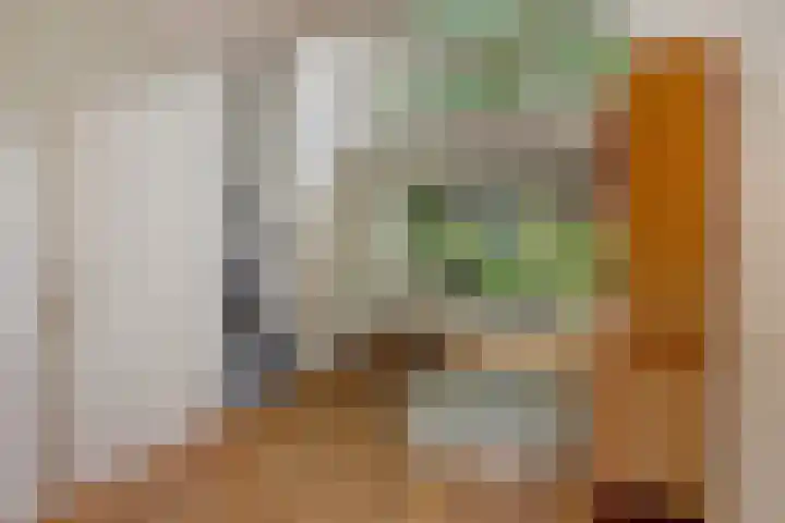 Da Costalaan 12 Apeldoorn thumbnail 11