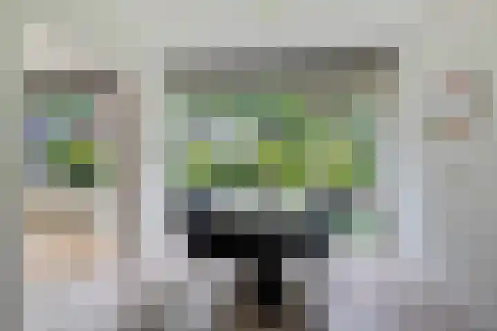Da Costalaan 12 Apeldoorn thumbnail 12