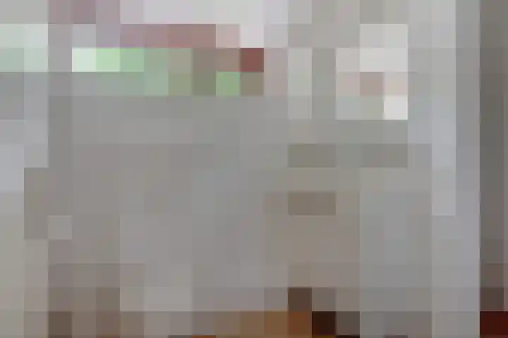Da Costalaan 12 Apeldoorn thumbnail 20