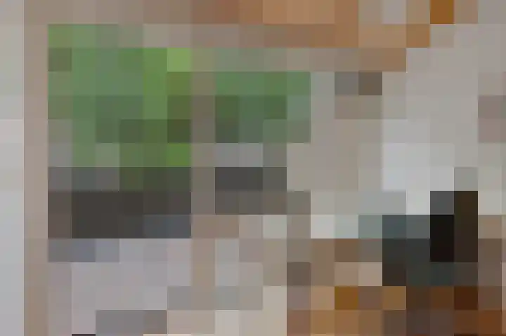 Da Costalaan 12 Apeldoorn thumbnail 26