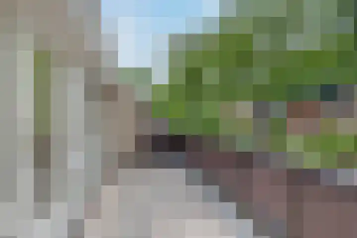 Da Costalaan 12 Apeldoorn thumbnail 27