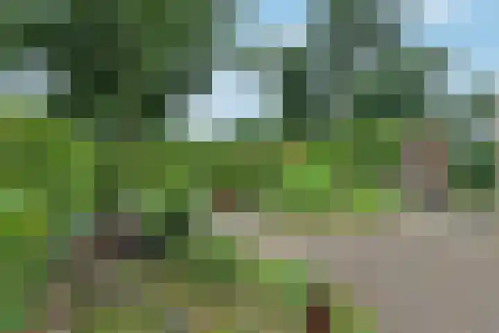 Da Costalaan 12 Apeldoorn thumbnail 29