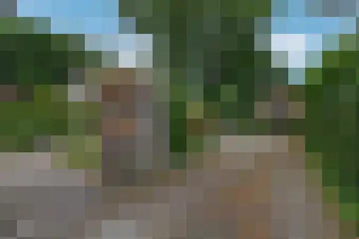 Da Costalaan 12 Apeldoorn thumbnail 33