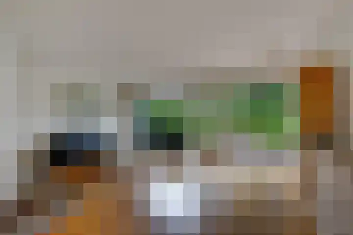 Da Costalaan 12 Apeldoorn thumbnail 6