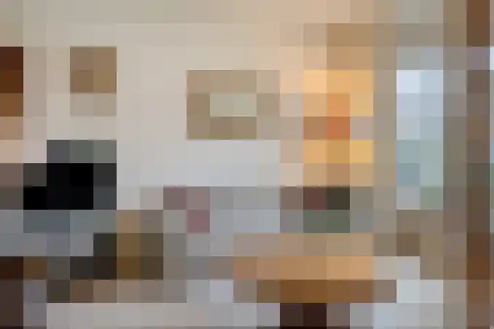 Da Costalaan 12 Haren Gn thumbnail 16