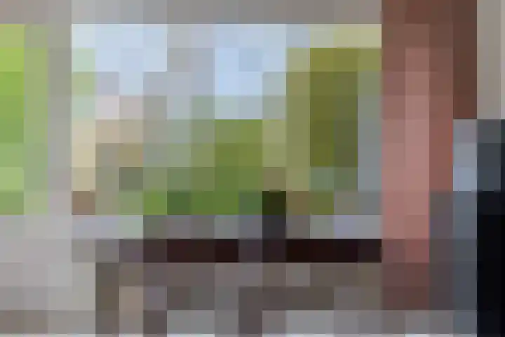 Da Costalaan 12 Haren Gn thumbnail 21