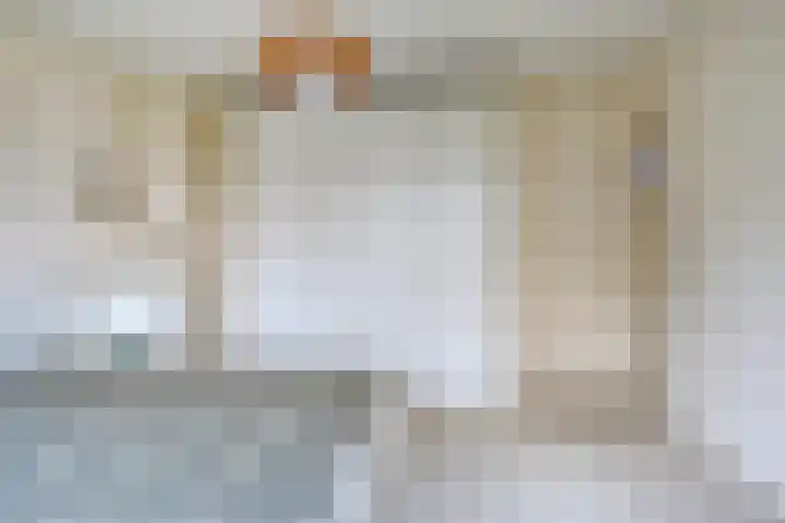 Da Costalaan 12 Haren Gn thumbnail 28