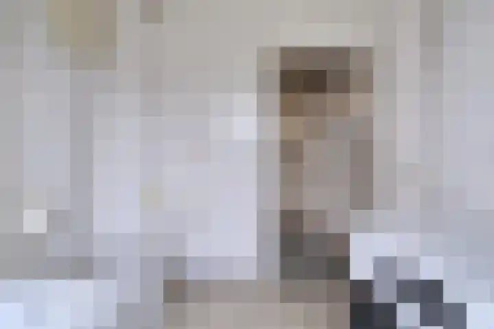 Da Costalaan 12 Haren Gn thumbnail 30