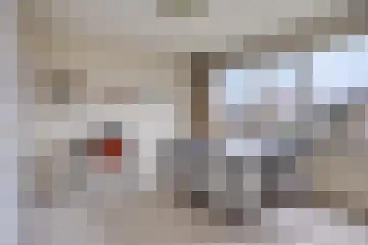 Da Costalaan 12 Haren Gn thumbnail 31