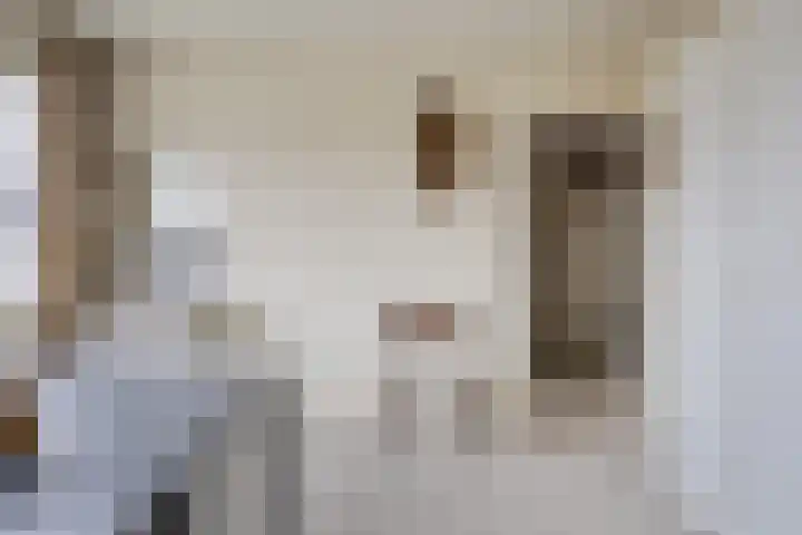 Da Costalaan 12 Haren Gn thumbnail 32
