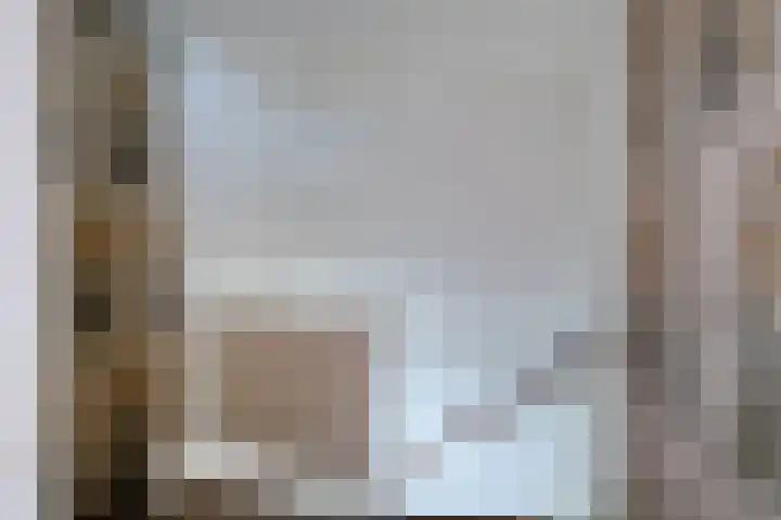 Da Costalaan 12 Haren Gn thumbnail 33