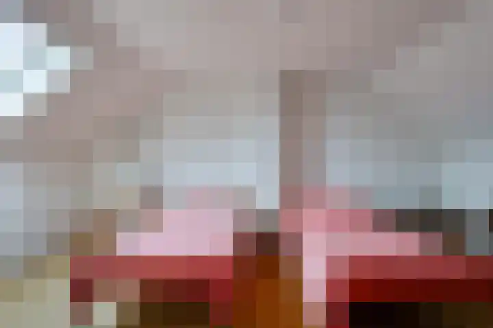 Da Costalaan 12 Haren Gn thumbnail 36