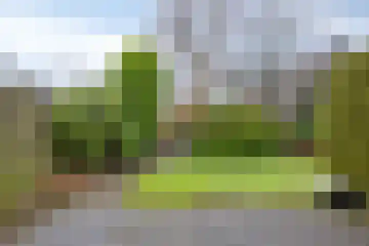 Da Costalaan 12 Haren Gn thumbnail 39