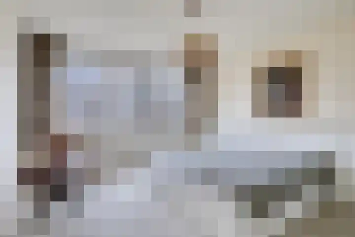 Da Costalaan 12 Haren Gn thumbnail 4