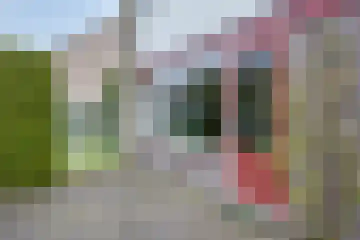 Da Costalaan 12 Haren Gn thumbnail 40
