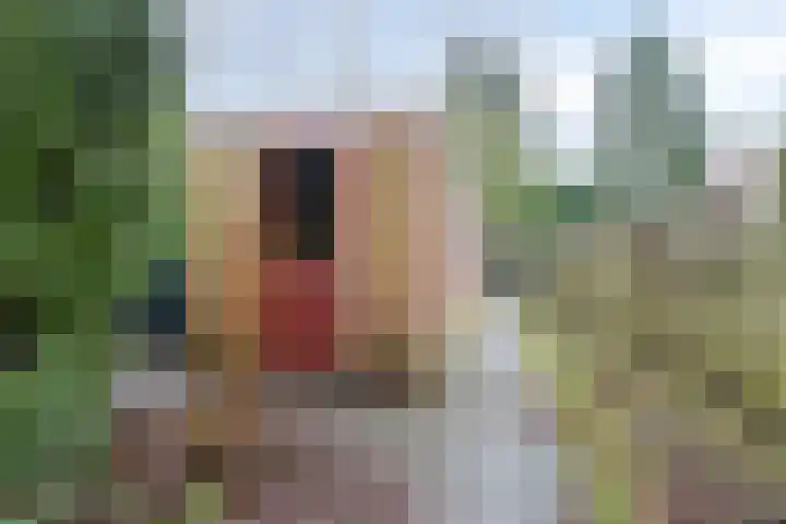 Da Costalaan 12 Haren Gn thumbnail 41