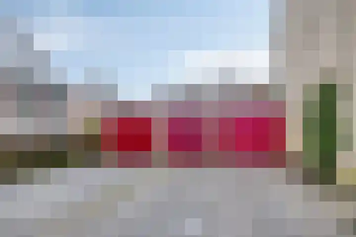 Da Costalaan 12 Haren Gn thumbnail 44