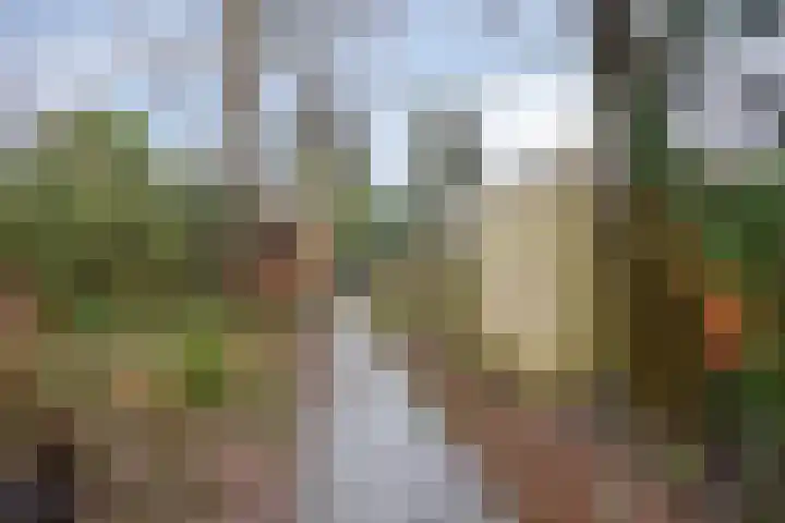 Da Costalaan 12 Haren Gn thumbnail 46
