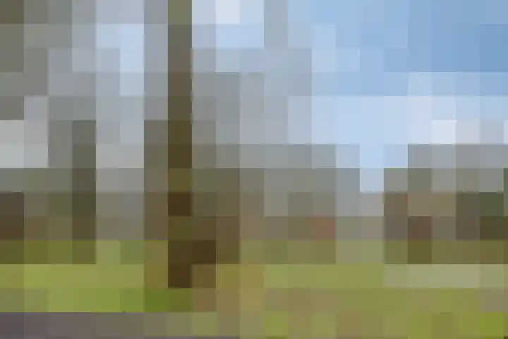 Da Costalaan 12 Haren Gn thumbnail 48