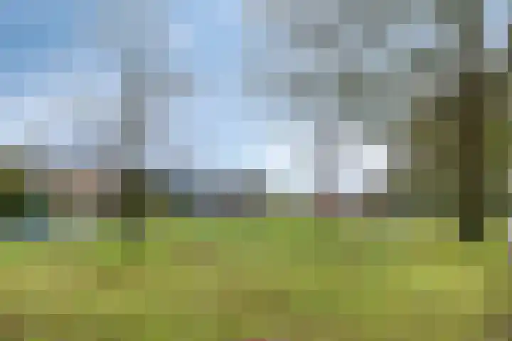 Da Costalaan 12 Haren Gn thumbnail 49