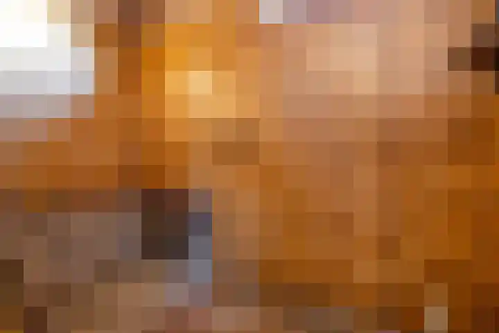 Da Costalaan 16 Hoogezand thumbnail 30