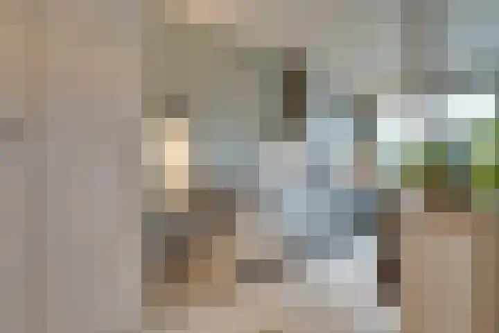 Da Costalaan 17 Amstelveen thumbnail 14