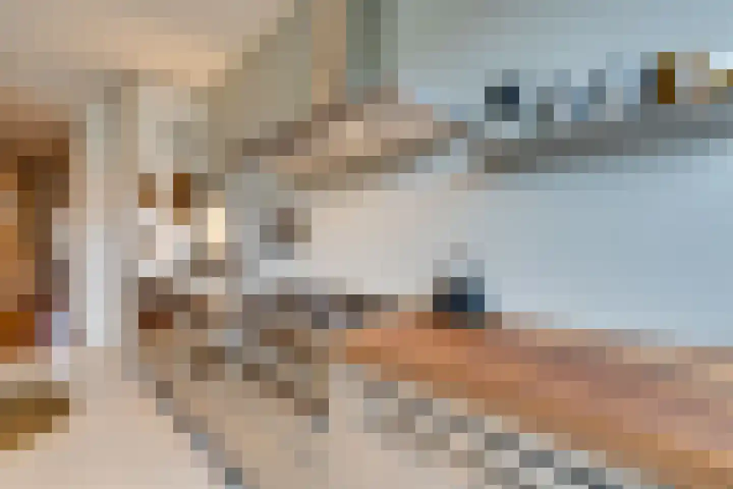 Da Costalaan 17 Amstelveen thumbnail 16