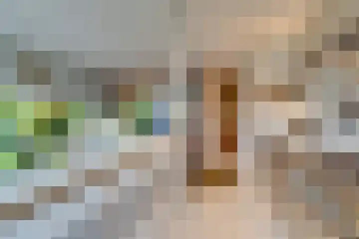 Da Costalaan 17 Amstelveen thumbnail 17