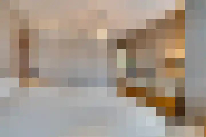 Da Costalaan 17 Amstelveen thumbnail 30