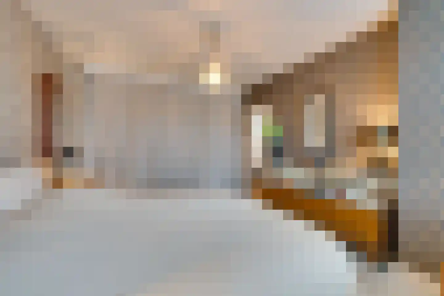 Da Costalaan 17 Amstelveen thumbnail 30