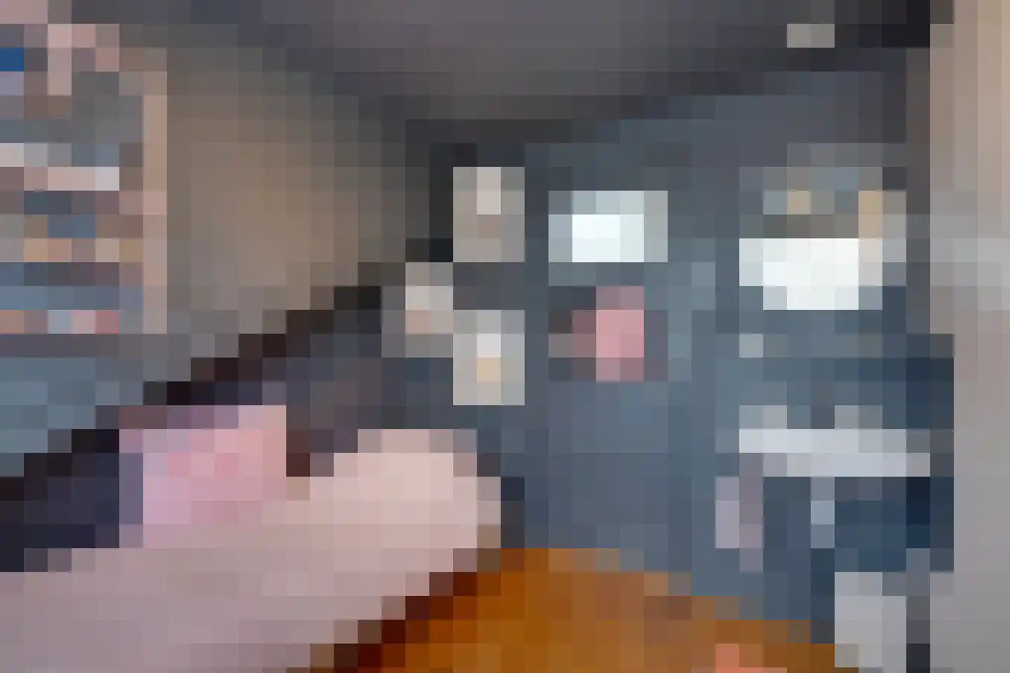 Da Costalaan 17 Amstelveen thumbnail 44