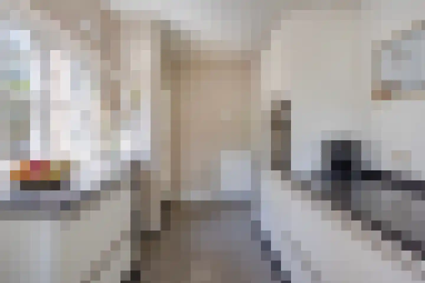 Da Costalaan 17 Soest thumbnail 14