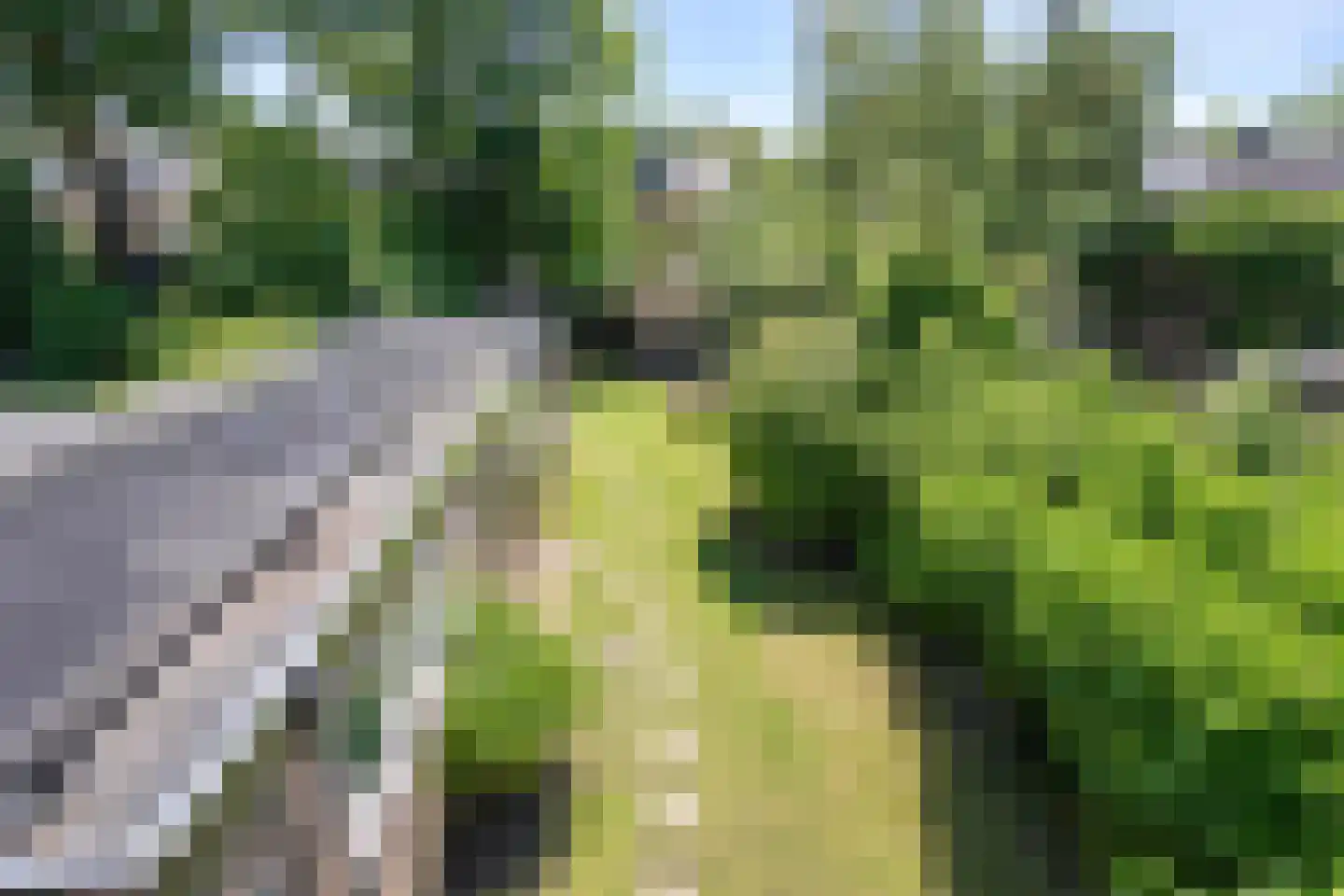 Da Costalaan 17 Soest thumbnail 29