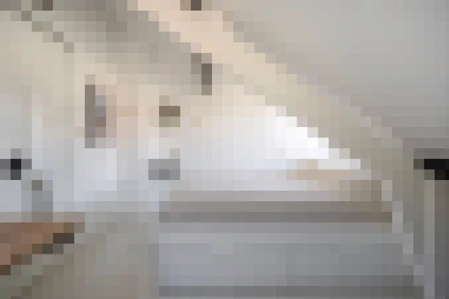 Da Costalaan 17 Soest thumbnail 34