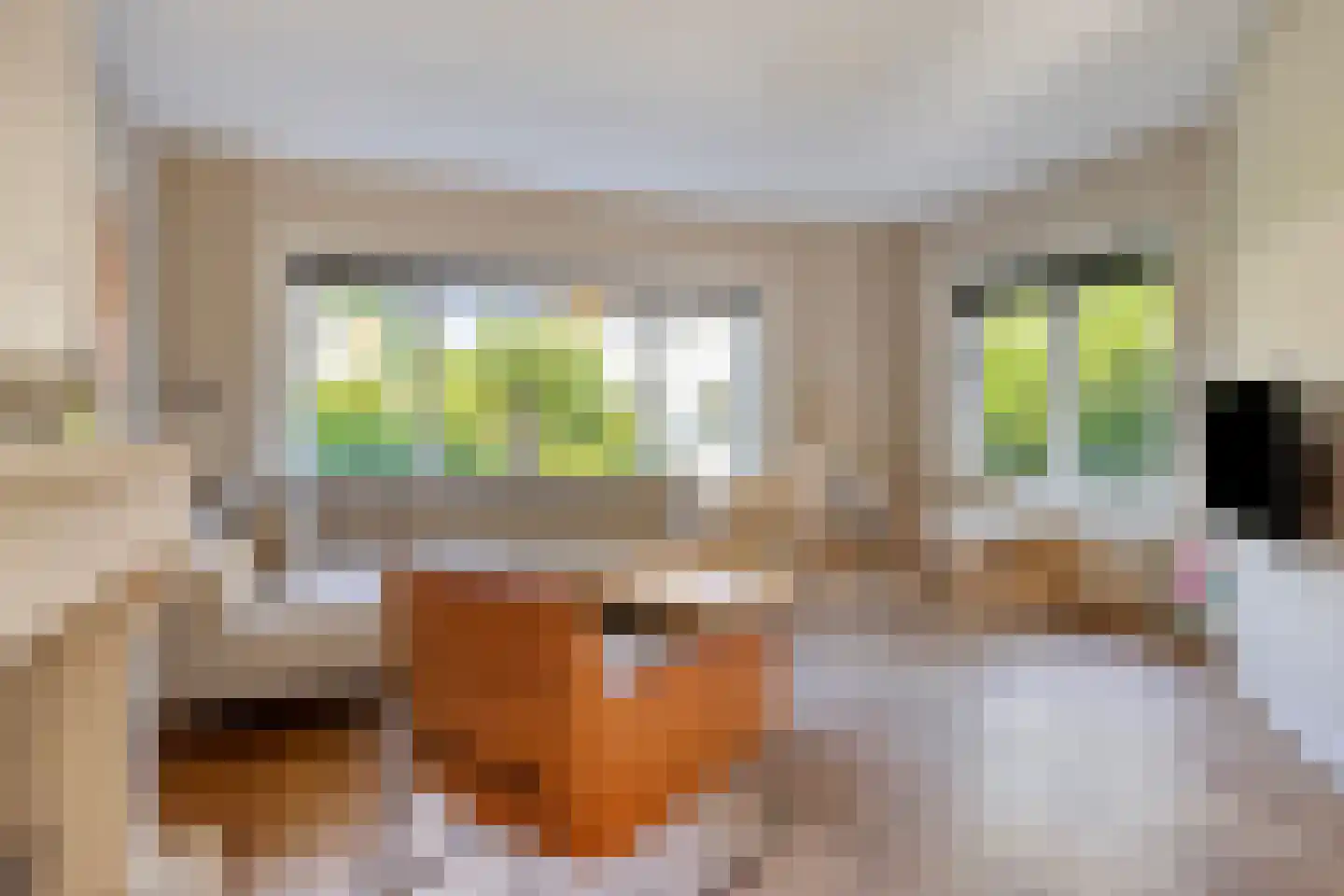 Da Costalaan 17 Soest thumbnail 5