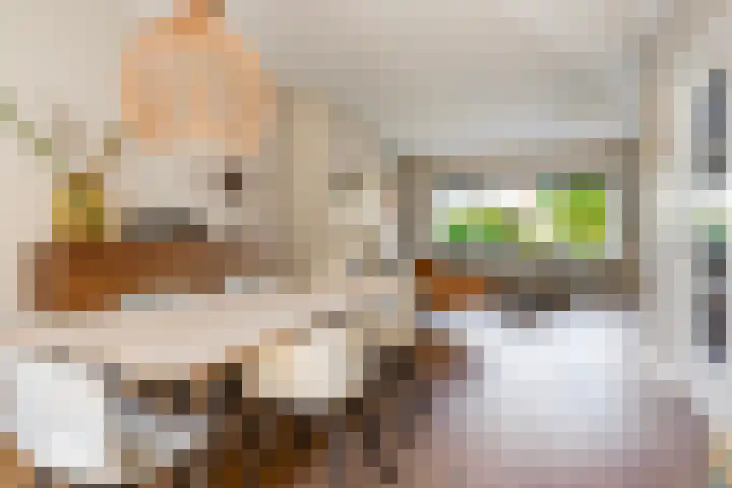 Da Costalaan 17 Soest thumbnail 8