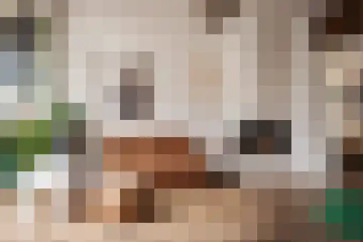Da Costalaan 18 Driehuis NH thumbnail 13