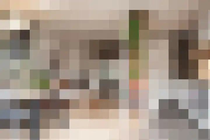 Da Costalaan 18 Driehuis NH thumbnail 14