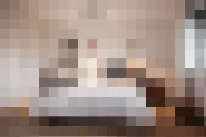 Da Costalaan 18 Driehuis NH thumbnail 19