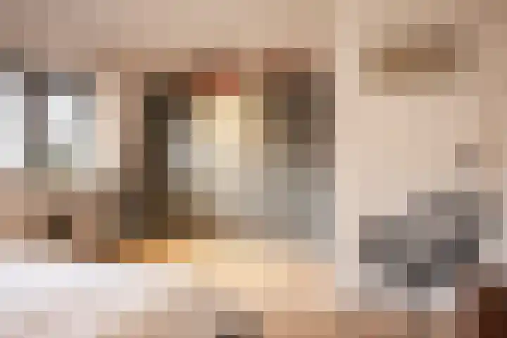 Da Costalaan 18 Driehuis NH thumbnail 20
