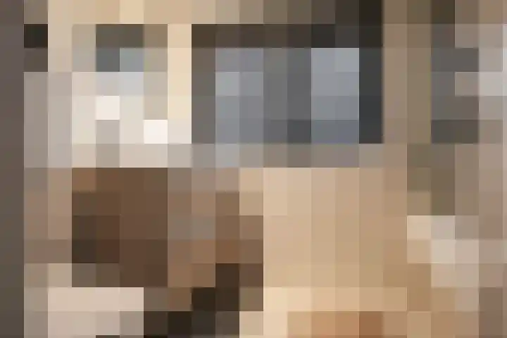 Da Costalaan 18 Driehuis NH thumbnail 22