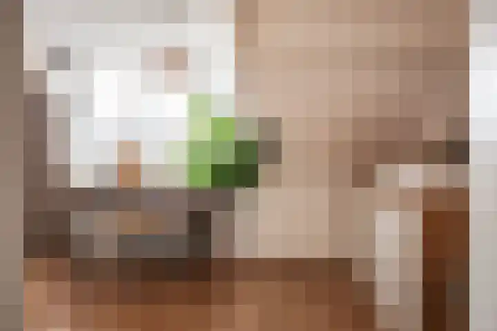 Da Costalaan 18 Driehuis NH thumbnail 25